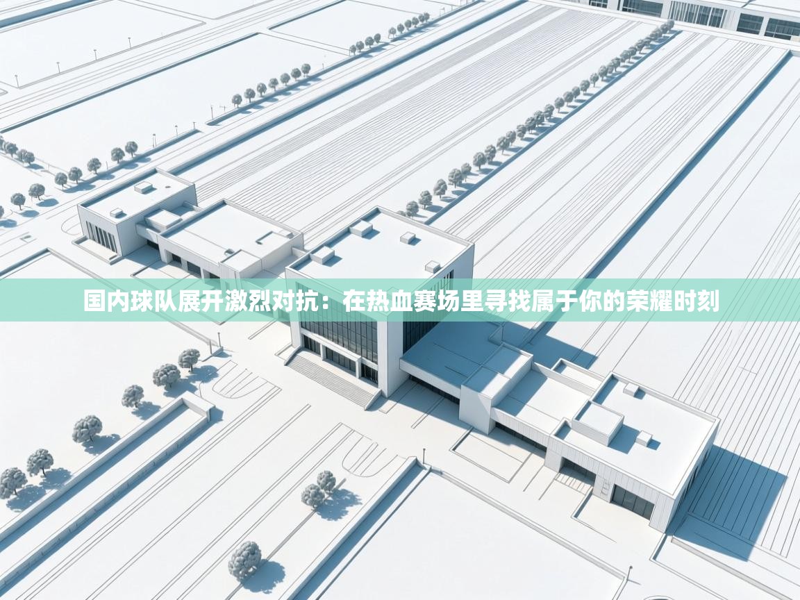 国内球队展开激烈对抗：在热血赛场里寻找属于你的荣耀时刻  第2张