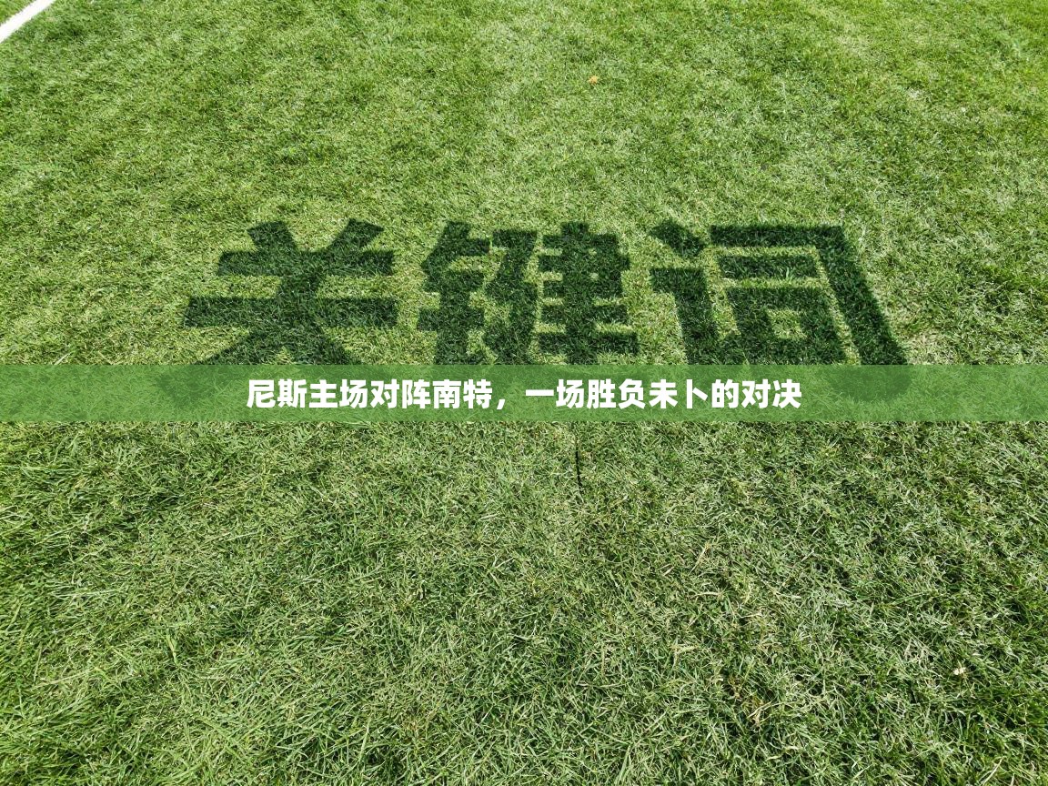 尼斯主场对阵南特，一场胜负未卜的对决  第2张